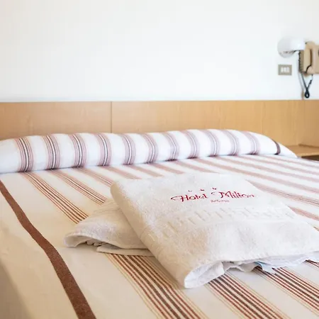 Hotel Milton 3*